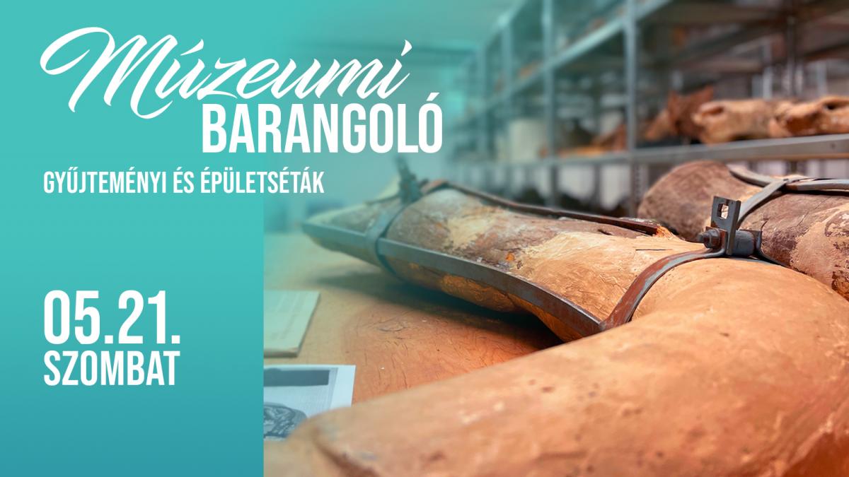 Múzeumi barangoló – gyűjteményi és épületséták / Az őslénytár kincsei