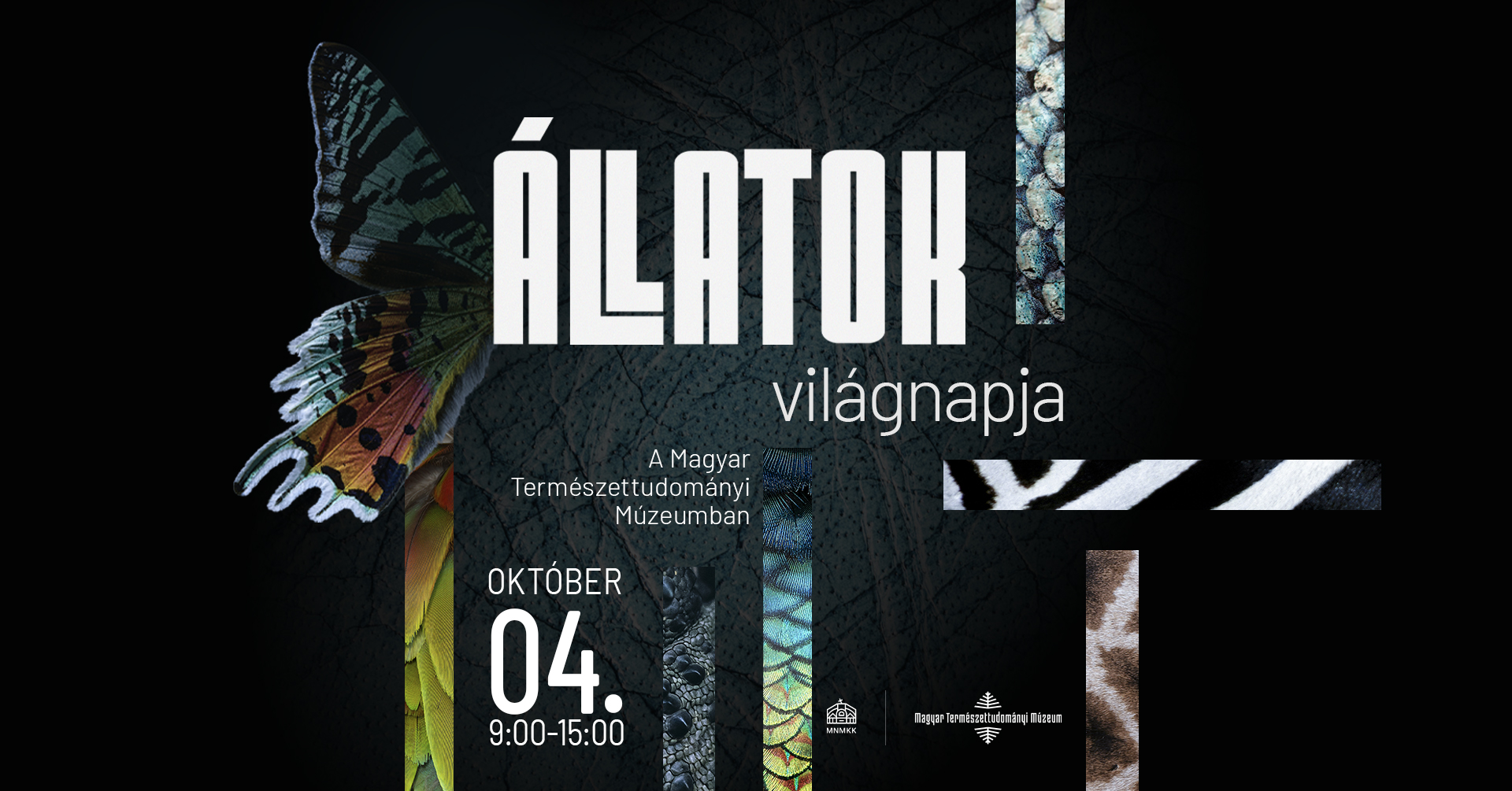 Állatok Világnapja 2026